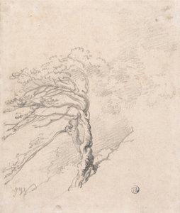 丘の中腹の木 作： James Ward